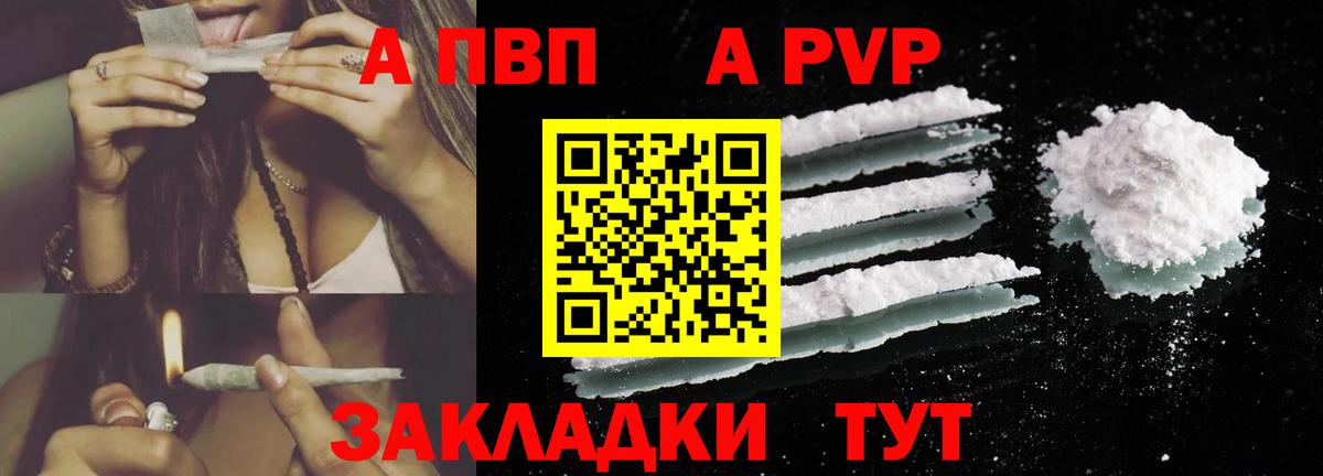 Alfa_PVP СК КРИС Тверь