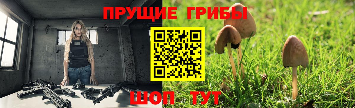 Псилоцибиновые грибы Cubensis  Галлюциногенные грибы мицелий  Тверь  Вход с VPN 